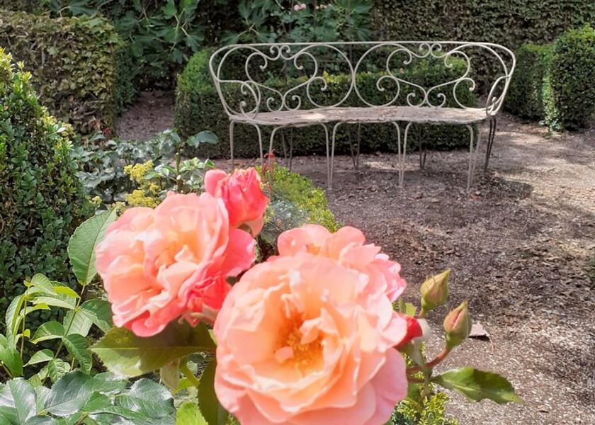 Flemish Region Jabbeke Exterior Detail