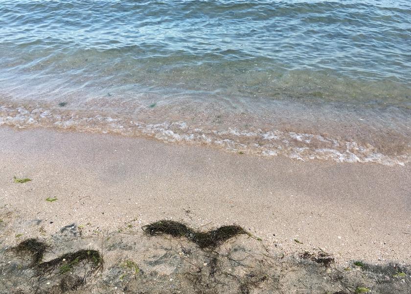 Burgas Pomorie View from Property