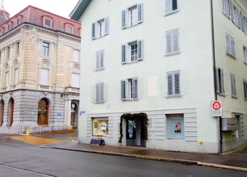 Canton of Zug Zug Exterior Detail
