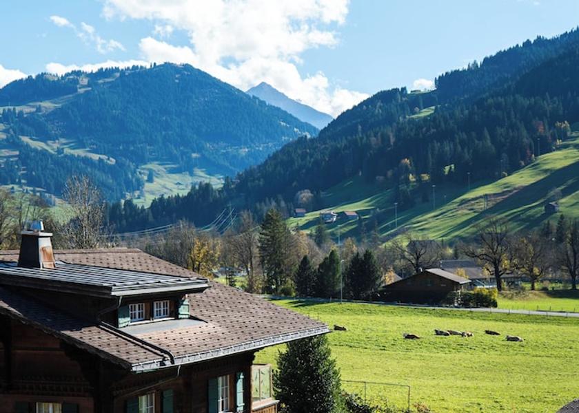 Canton of Bern Saanen Exterior