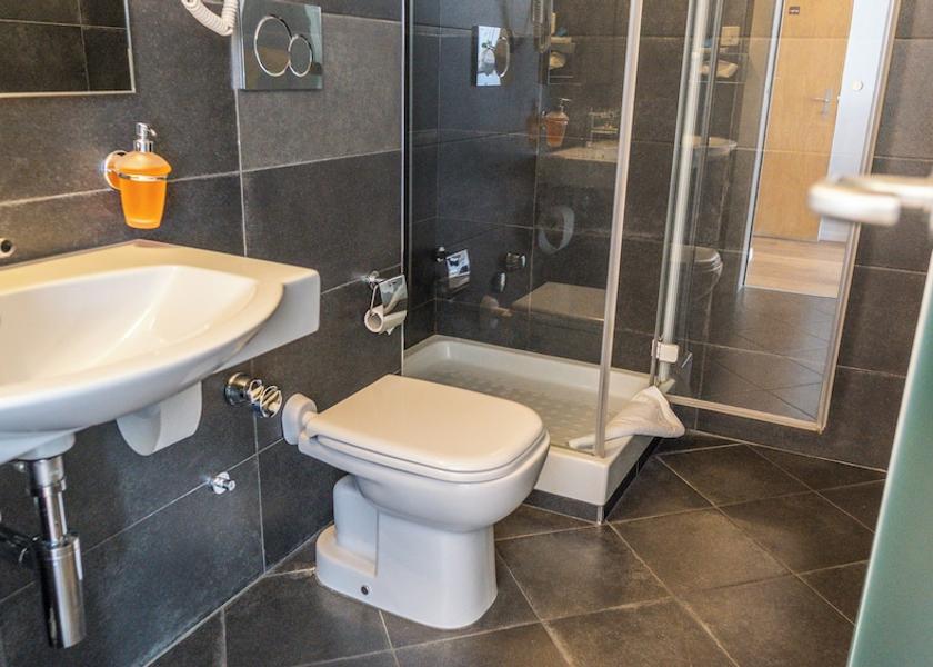 Valais Brig Bathroom