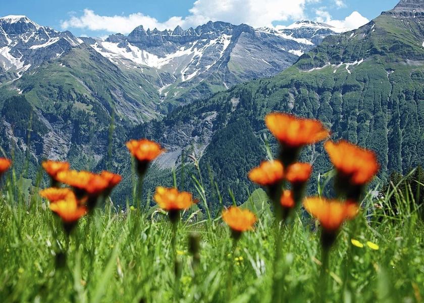 Valais Fiesch View from Property