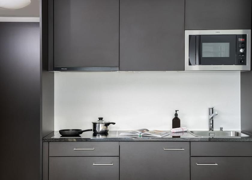 Graubuenden St. Moritz Kitchen