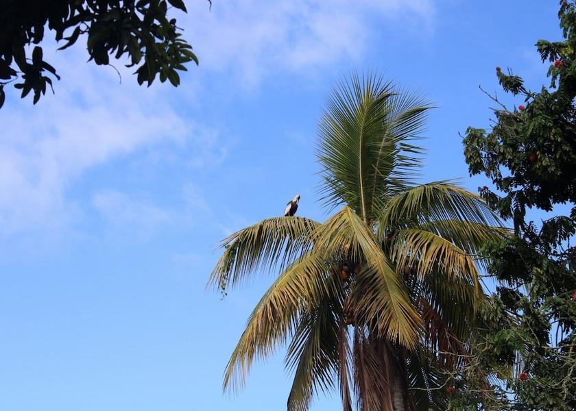 Quindio Montenegro Property Grounds