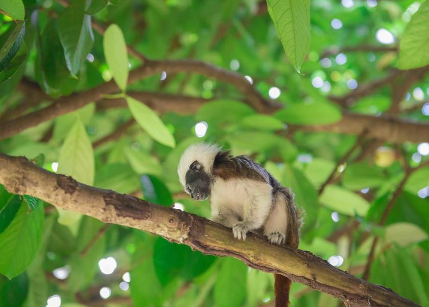 Magdalena Santa Marta View from Property