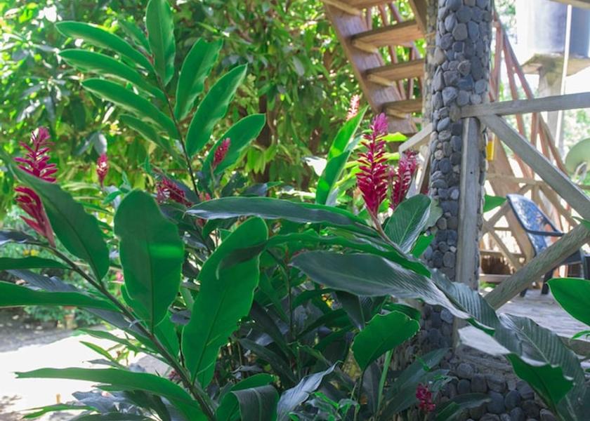 Magdalena Santa Marta View from Property