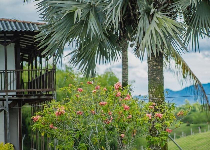 Quindio Quimbaya Property Grounds
