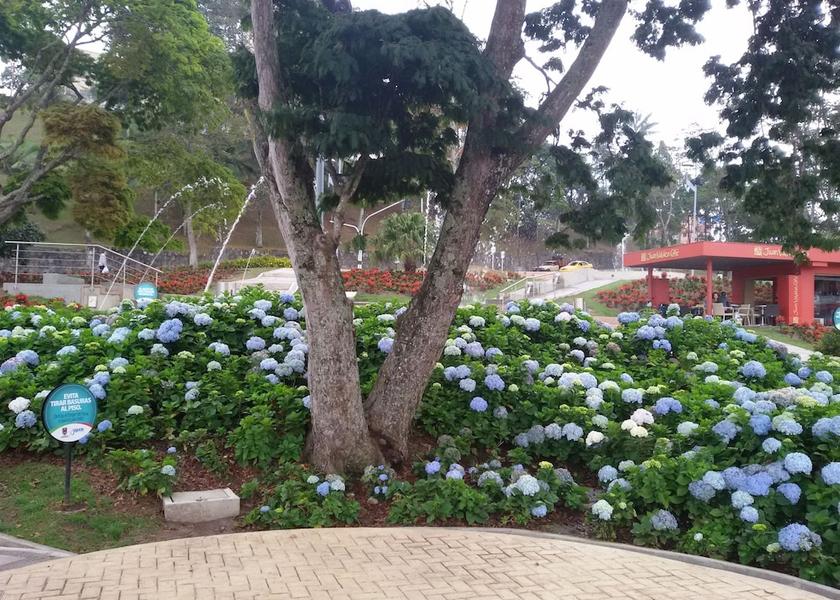 Caldas Manizales Exterior Detail