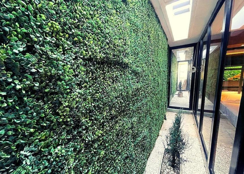 Atlantico Barranquilla Property Grounds