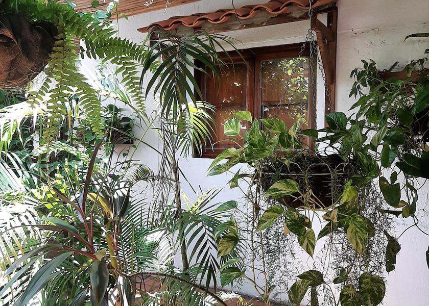 Cesar Valledupar Courtyard