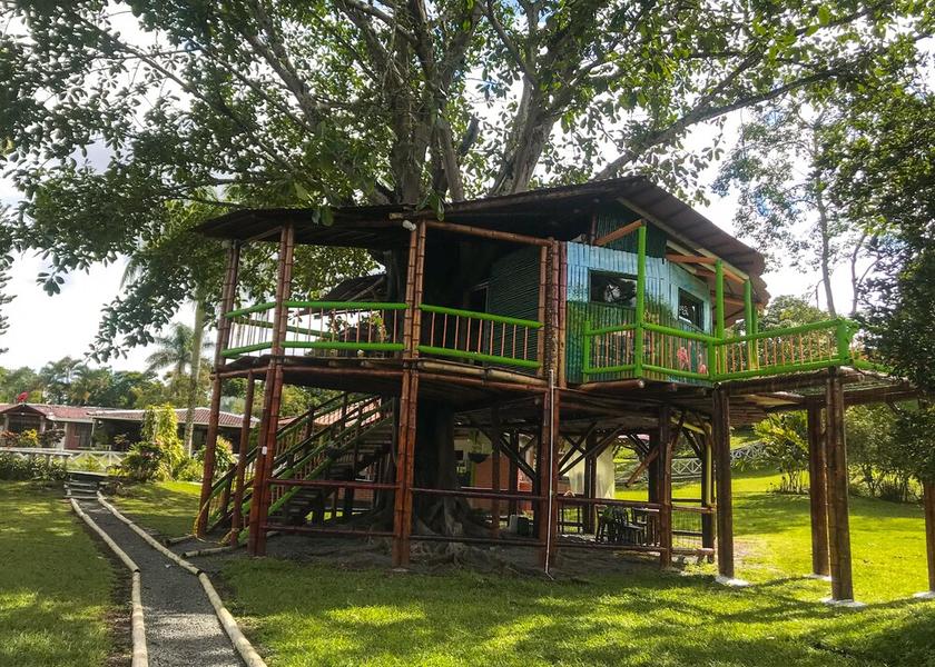 Risaralda Pereira Exterior Detail