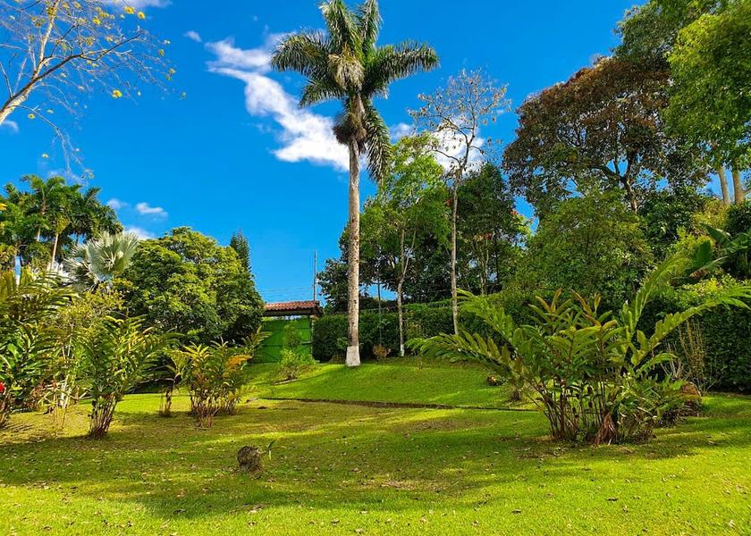 Risaralda Pereira Exterior Detail