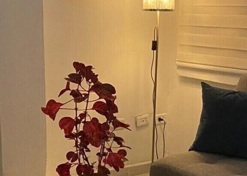 Valle del Cauca Cali Living Area