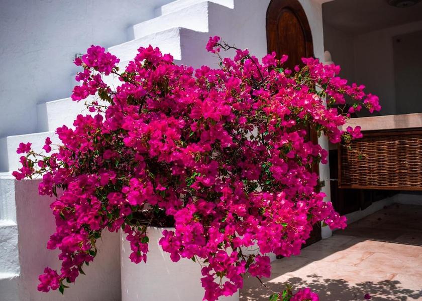 Bolívar Cartagena Exterior Detail