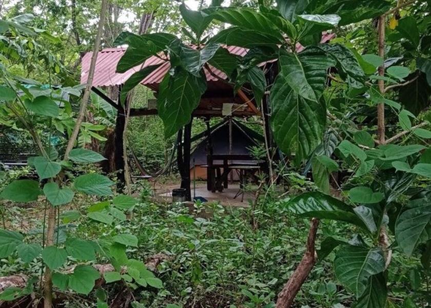 Guanacaste Tamarindo Exterior Detail