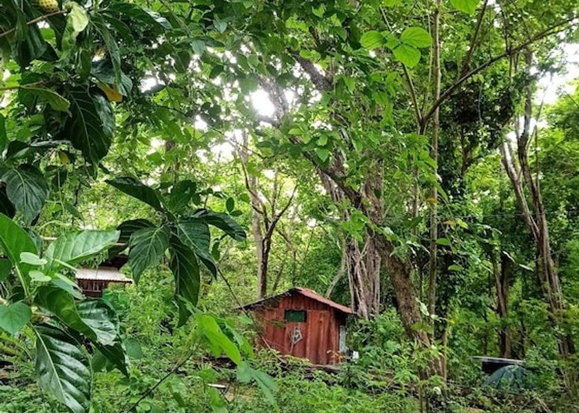 Guanacaste Tamarindo Exterior Detail