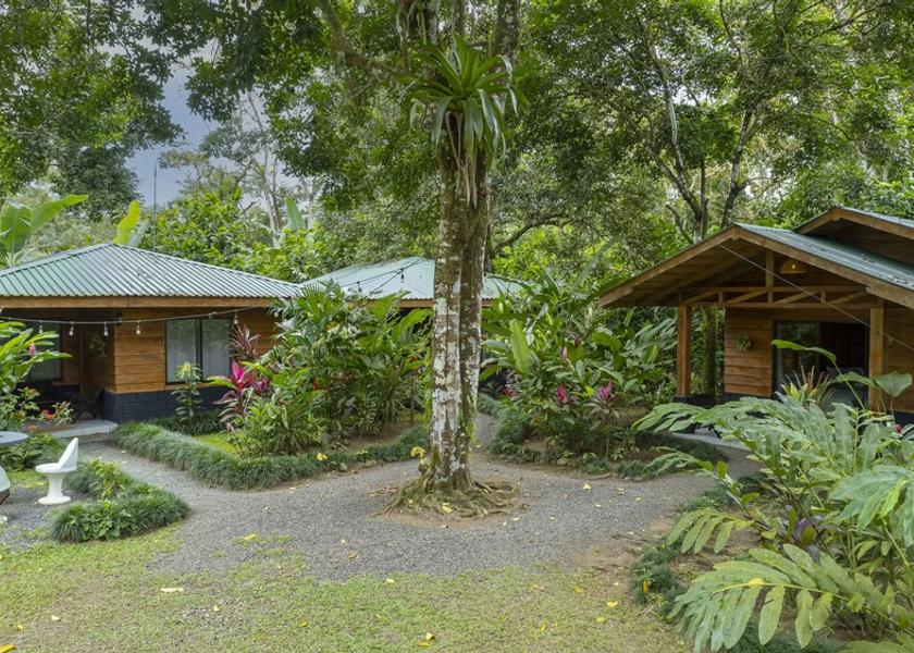 Alajuela La Fortuna Reception