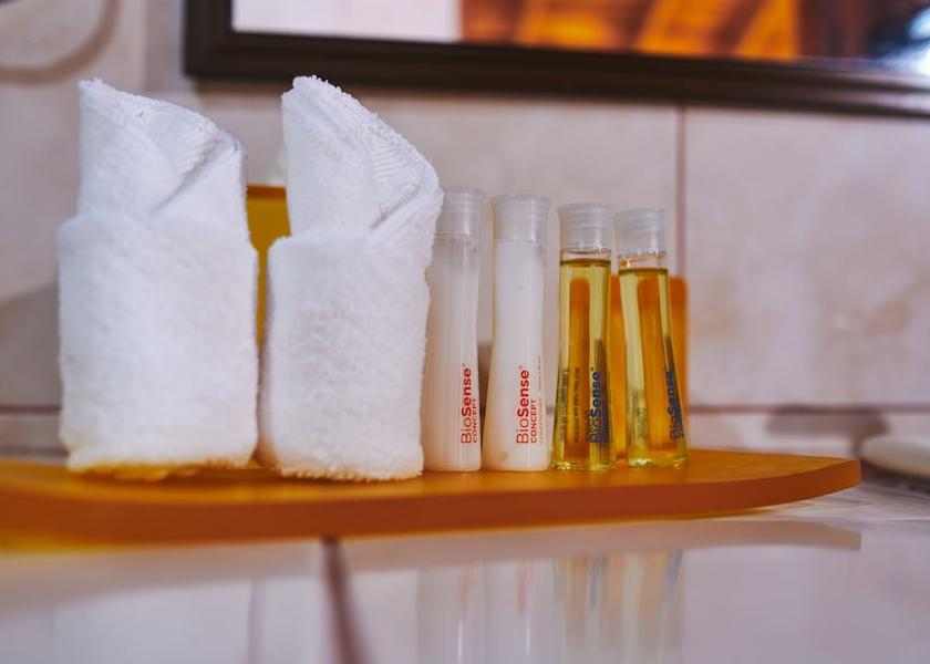 Alajuela La Fortuna Bathroom