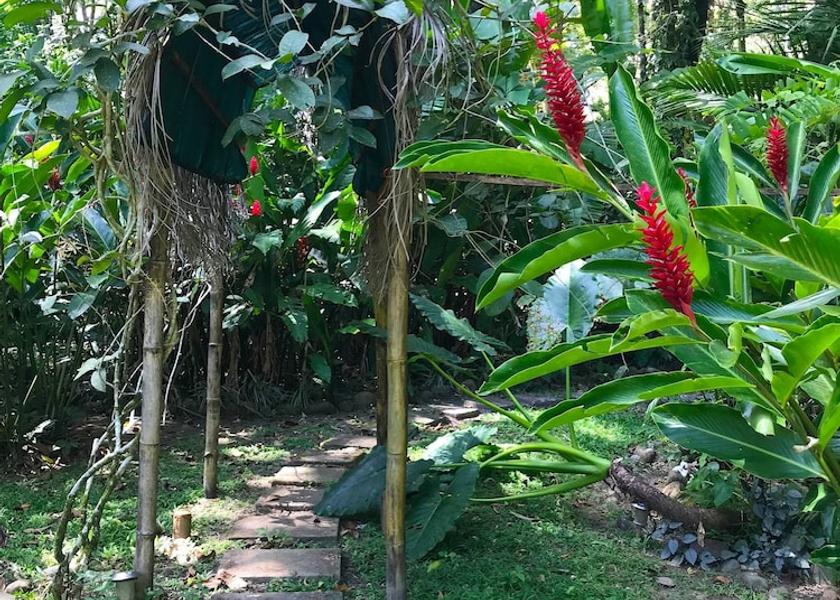 Limon Cahuita Property Grounds