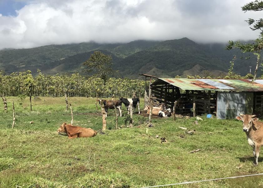 Alajuela Bijagua Exterior Detail