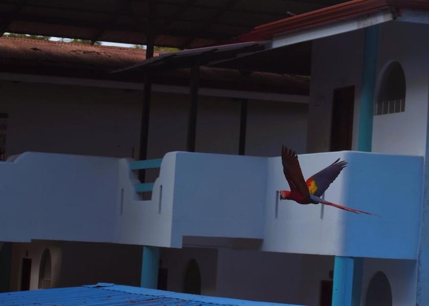 Puntarenas Quepos Spa