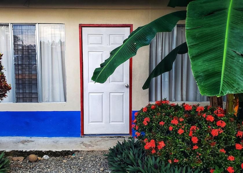 Puntarenas Province Bahía Ballena Exterior Detail