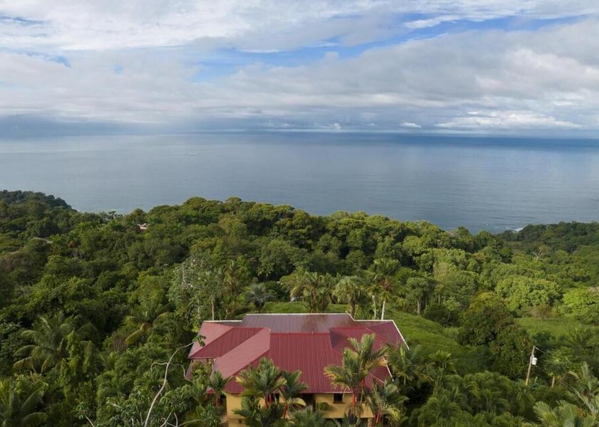 San Jose Ballena Room