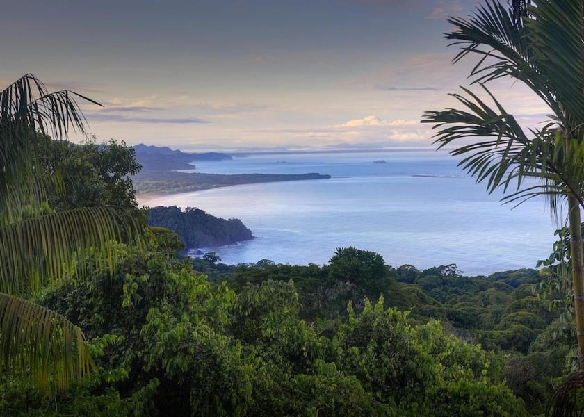 San Jose Ballena Room