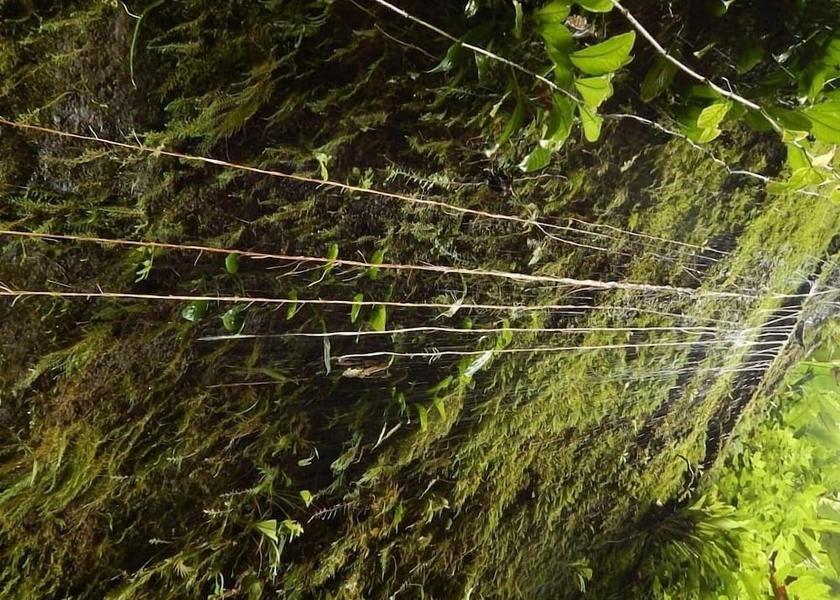 Puntarenas Drake Bay Exterior Detail