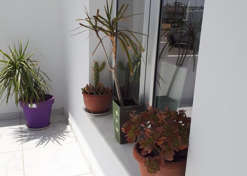 Larnaca District Oroklini Terrace