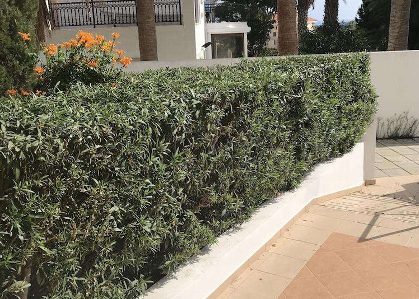 Larnaca District Oroklini Exterior Detail