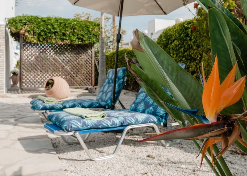 Paphos Pegeia Terrace