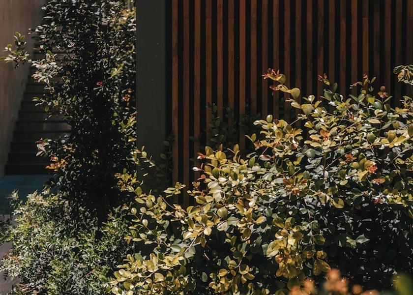  Paphos Exterior Detail