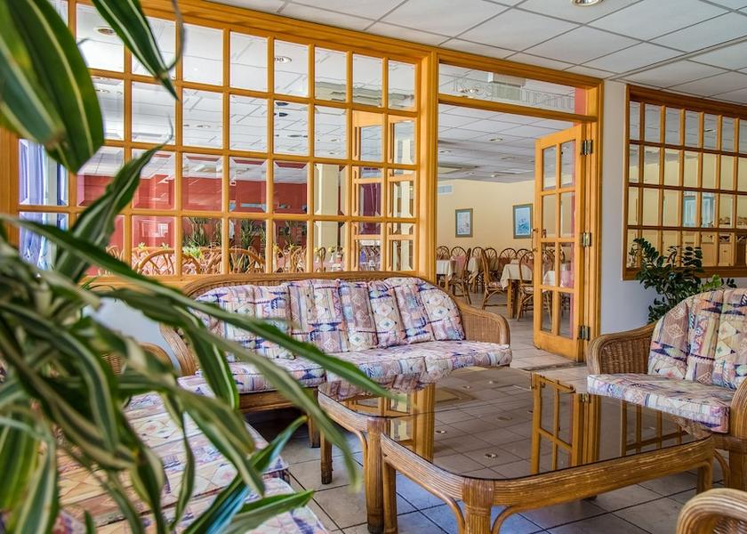 Larnaca District Ayia Napa Bar