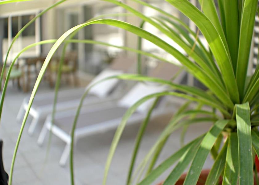 Limassol District Limassol Balcony