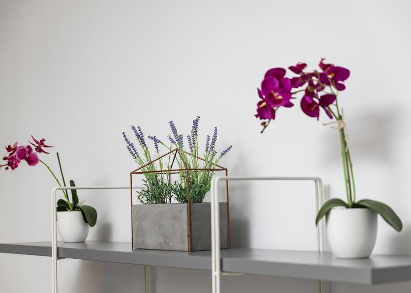 Limassol District Limassol Living Area