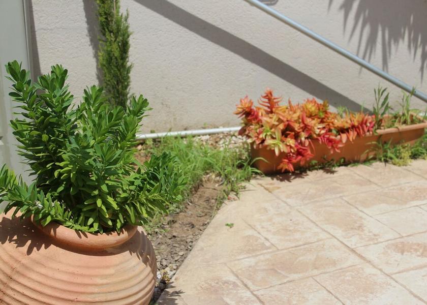 Larnaca District Paralimni Exterior Detail