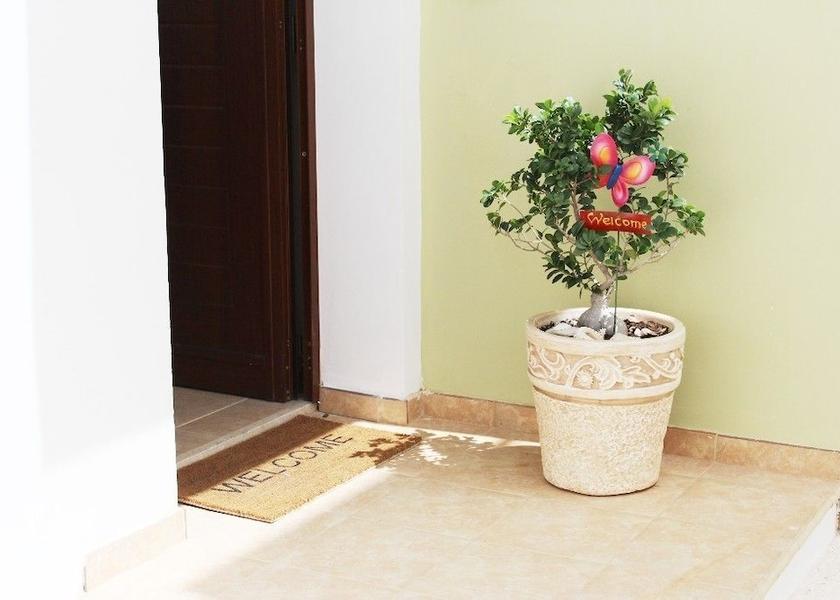 Larnaca District Paralimni Terrace