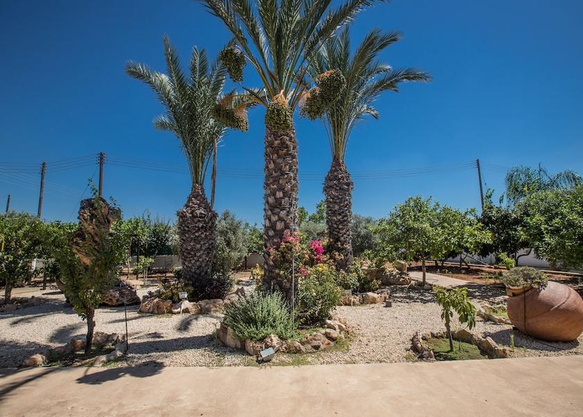 Larnaca District Paralimni Property Grounds