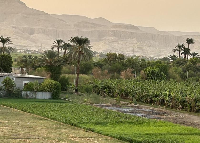  Luxor View from Property