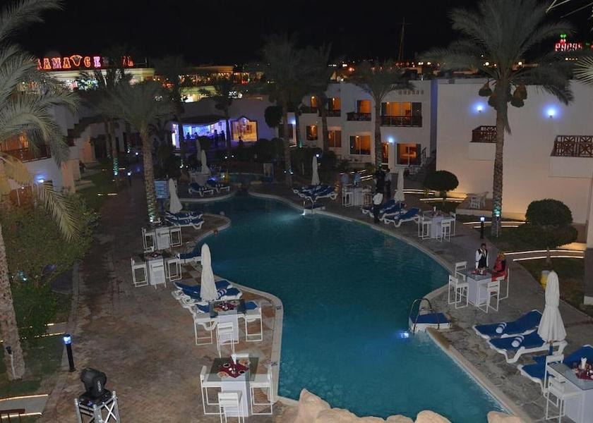 South Sinai Governate Sharm El Sheikh Pool
