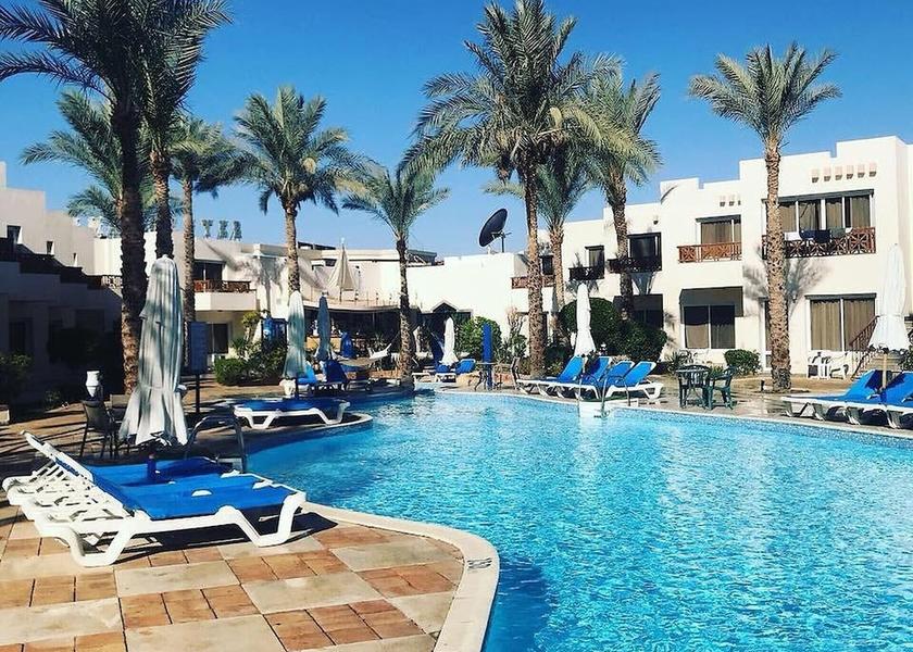 South Sinai Governate Sharm El Sheikh Pool