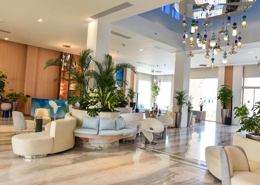 South Sinai Governorate Sharm El Sheikh Reception