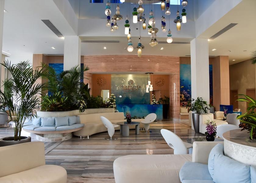 South Sinai Governorate Sharm El Sheikh Reception