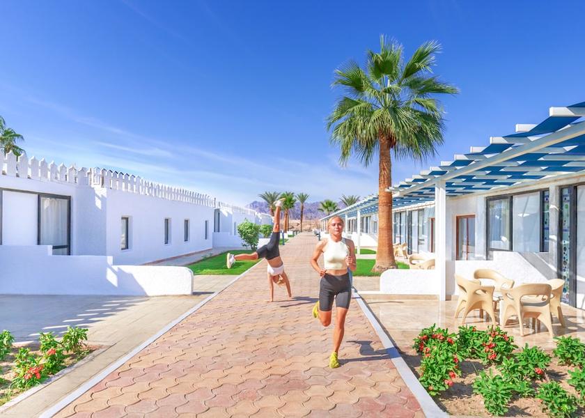South Sinai Governorate Sharm El Sheikh Exterior