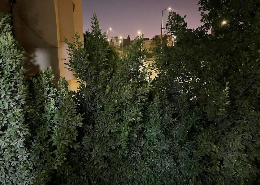 Giza Governorate Sheikh Zayed City Facade