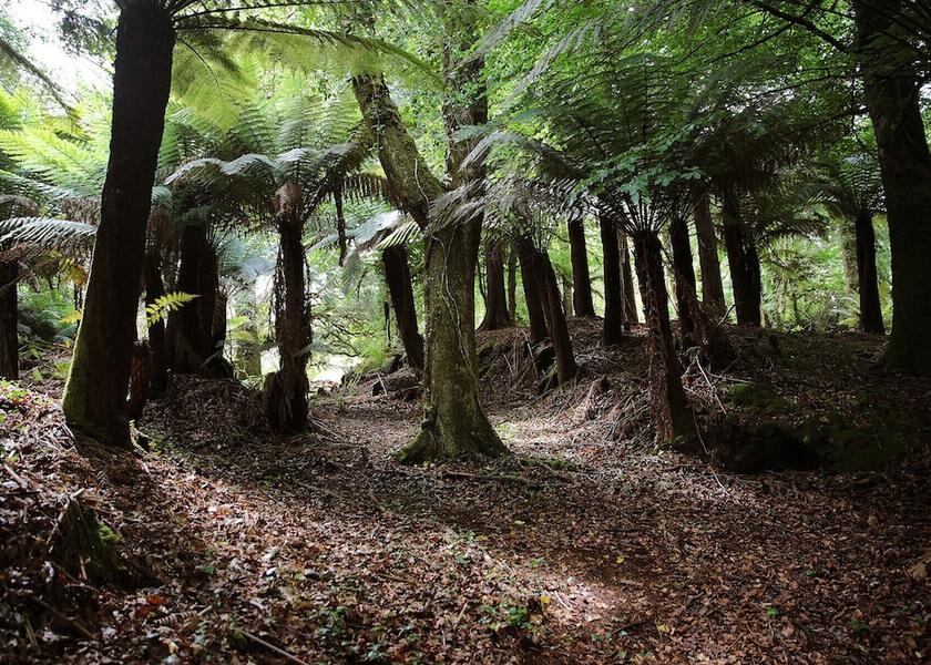 County Kerry Kells Interior Entrance