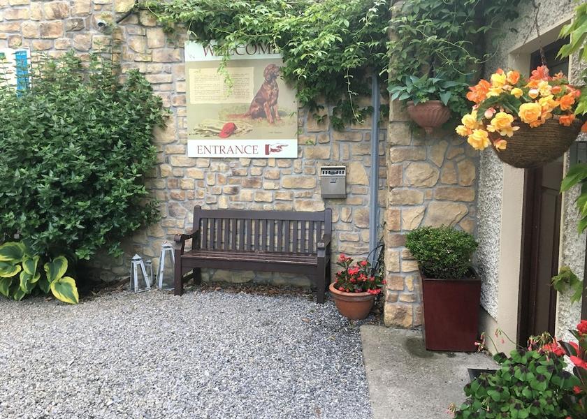 County Carlow Carlow Exterior Detail