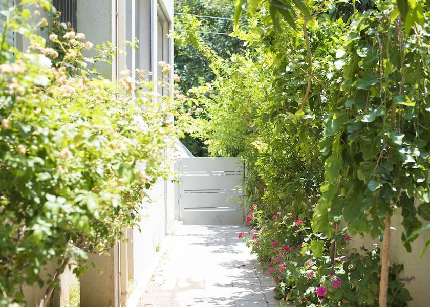  Tel Aviv Property Grounds