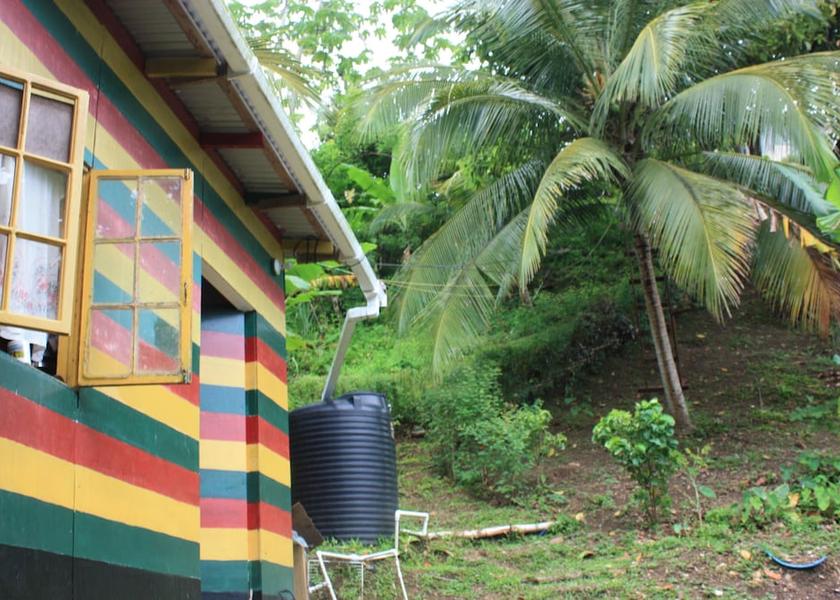  Port Antonio Exterior Detail